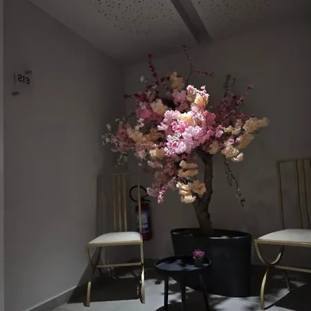 Metro Terminal 4* Mjull-Bethore